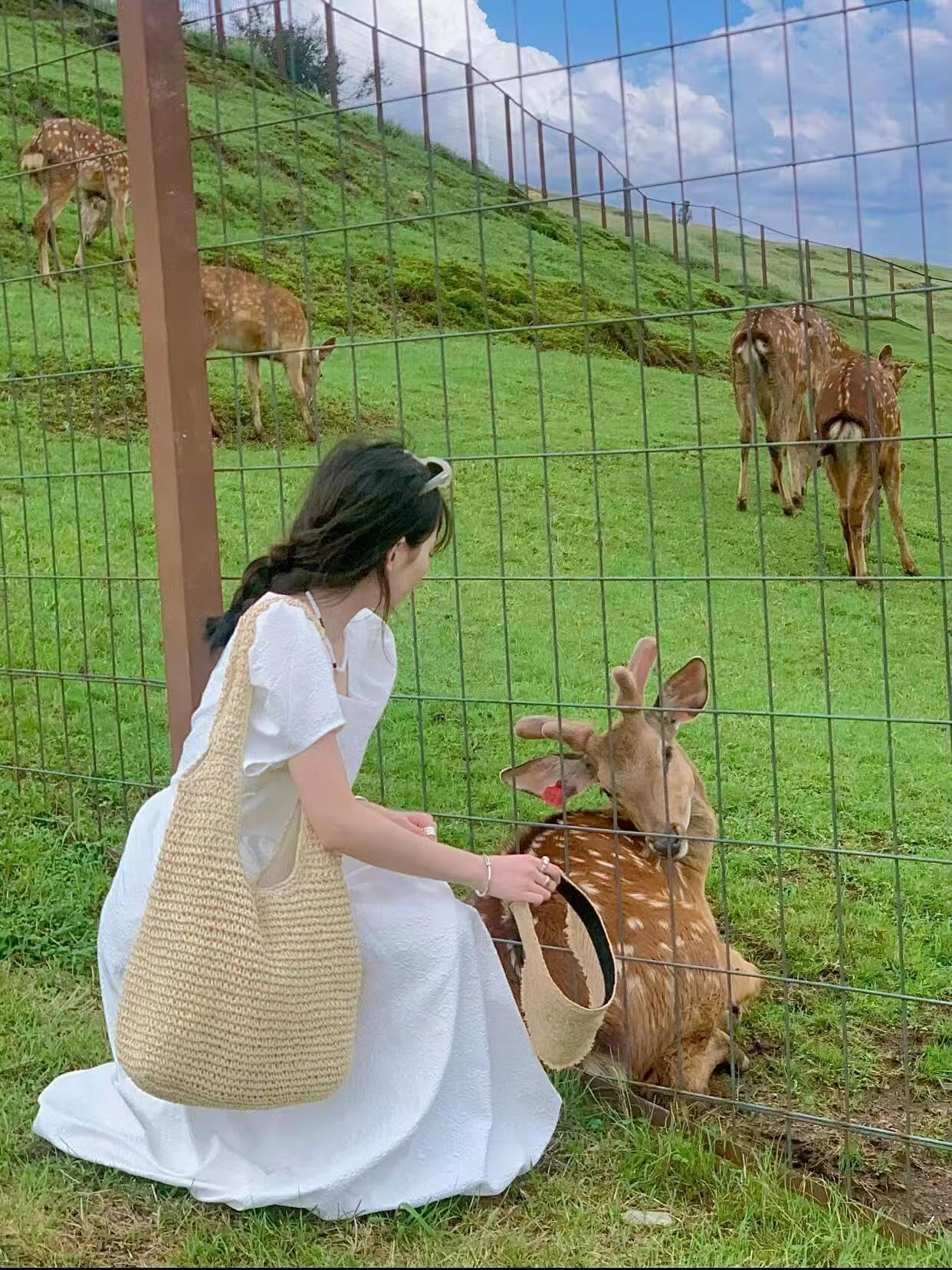 Woven Beach Bags Straw Shoulder Bag Handle Tote Summer Beach Bag Rattan Handbag - OutsideCool